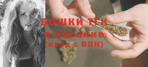 сатива Кодинск