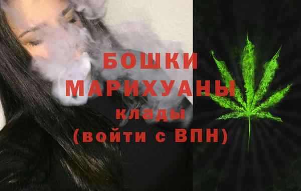 сатива Кодинск