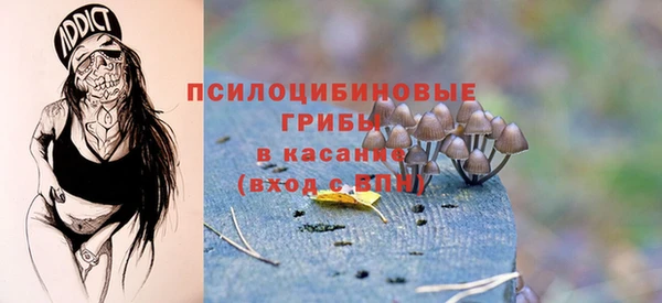 сатива Кодинск