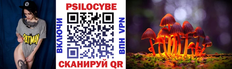 купить  сайты  Когалым  Псилоцибиновые грибы мицелий 